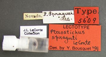Media type: image;   Entomology 5609 Aspect: labels